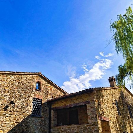 B&B Nel Vigneto Castelplanio Exterior photo